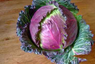Winter Minestrone soup recipe featuring a January cabbage