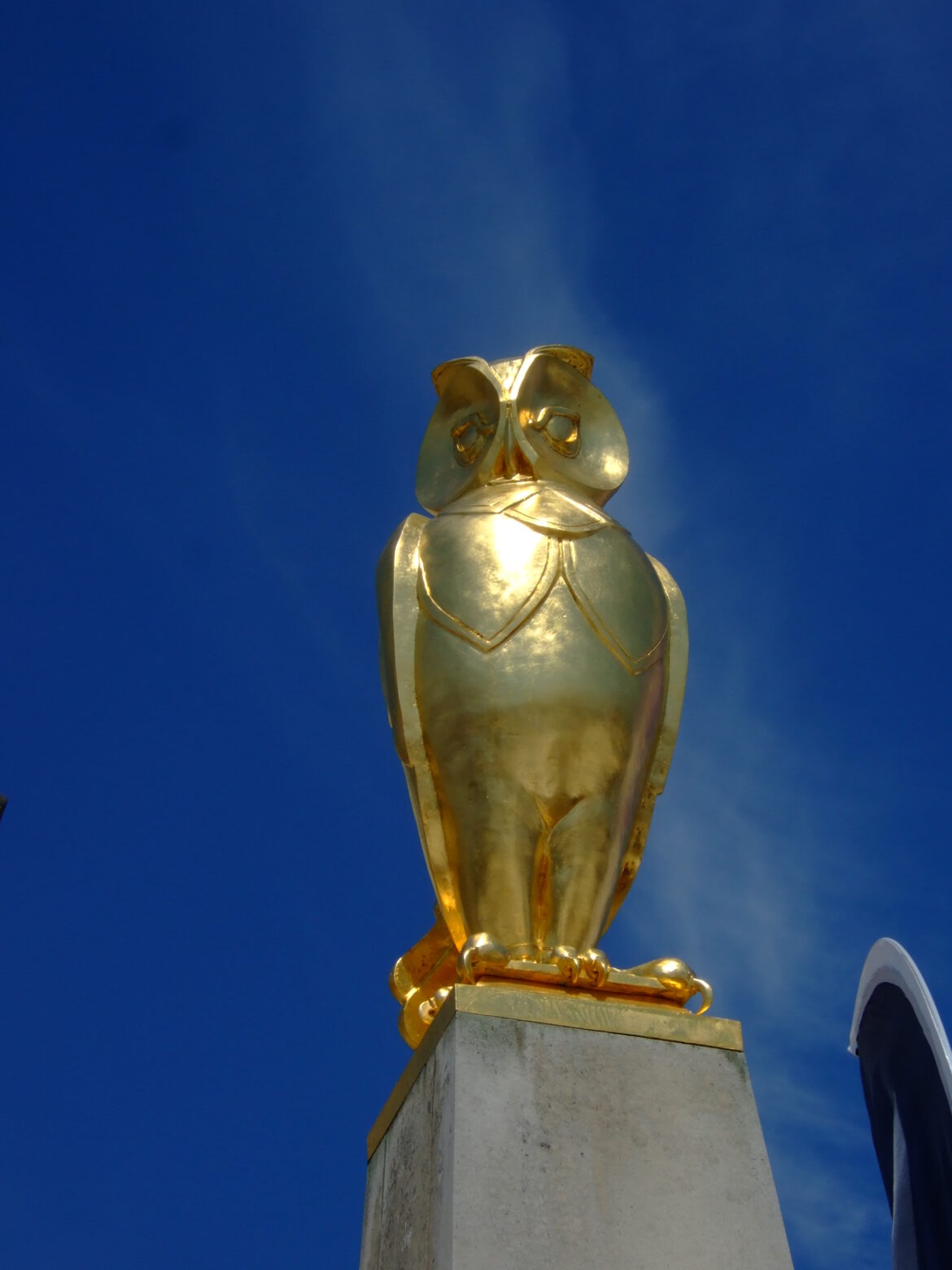 Leeds Owl Trail