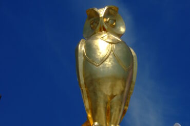 Leeds Owl Trail