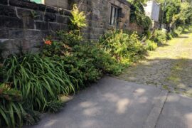 Lanes ginnels and back wildlife corridor
