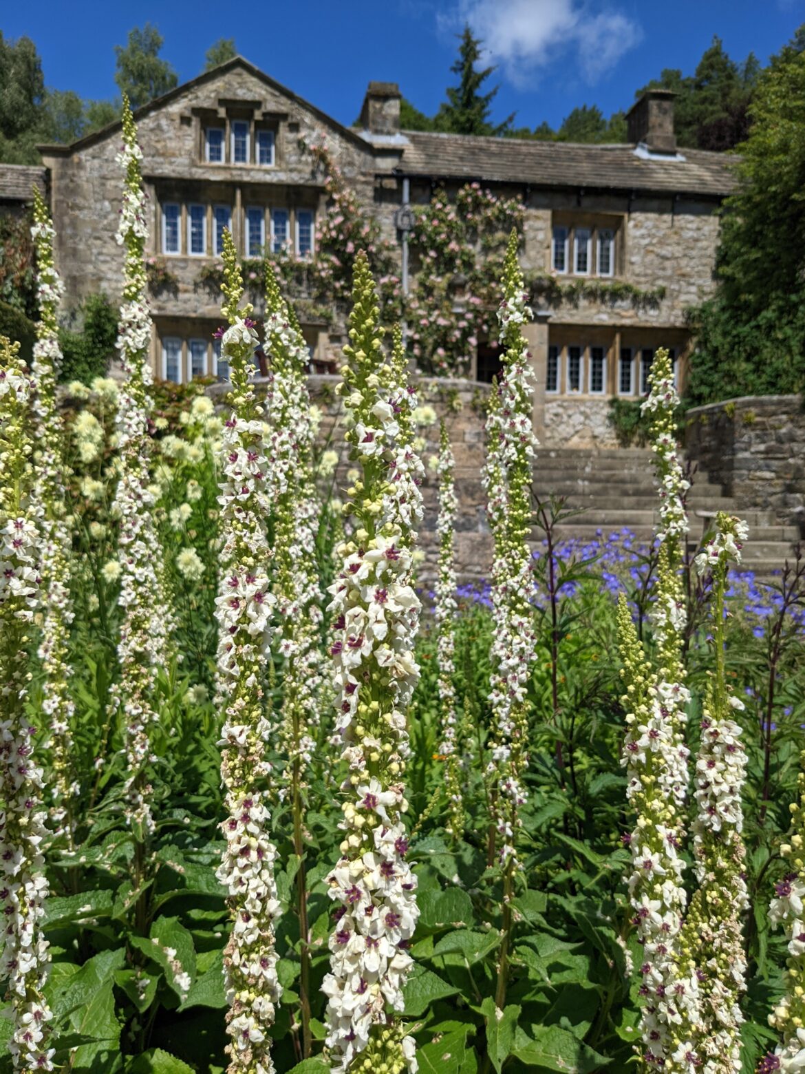 Yorkshire's Best Gardens and Specialist Nurseries: 10 Places Plant Lovers Should Visit.
