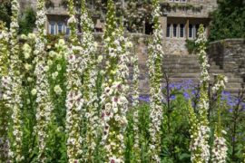 Yorkshire's Best Gardens and Specialist Nurseries: 10 Places Plant Lovers Should Visit.